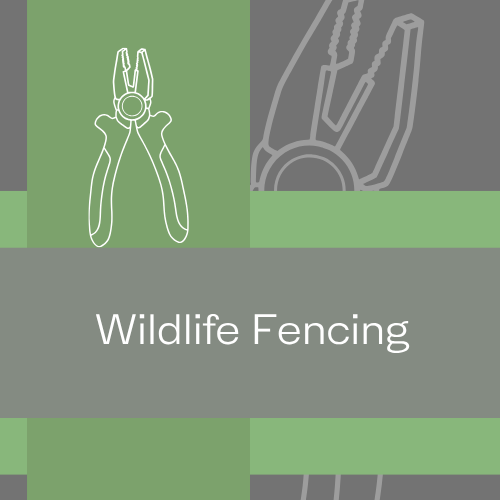 Wildlife