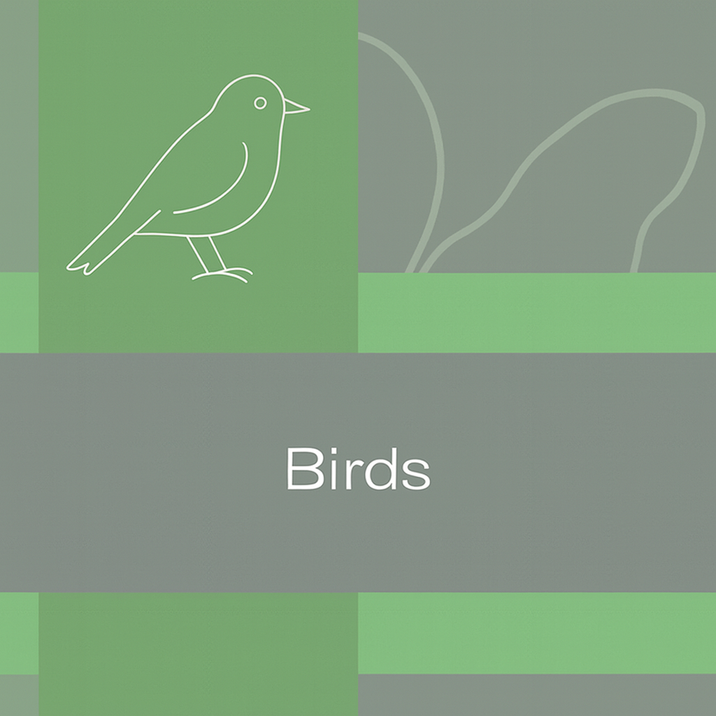Birds
